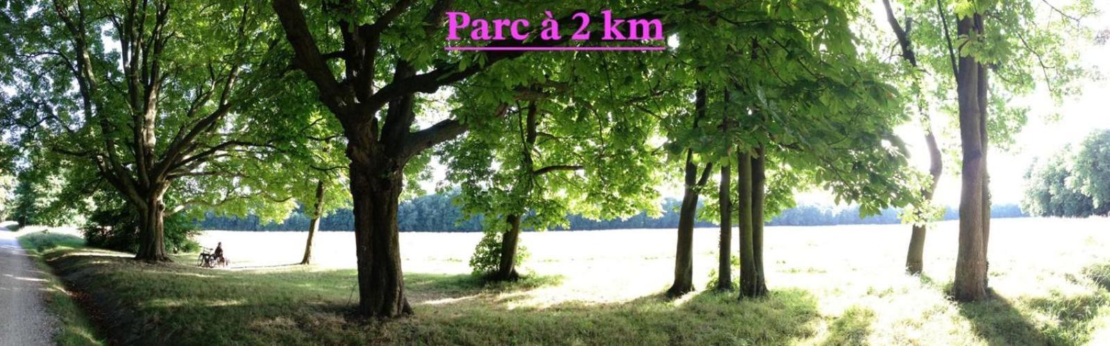 Chambre D'Hote A 13 Minutes De Disneyland Champs-Sur-Marne Zewnętrze zdjęcie